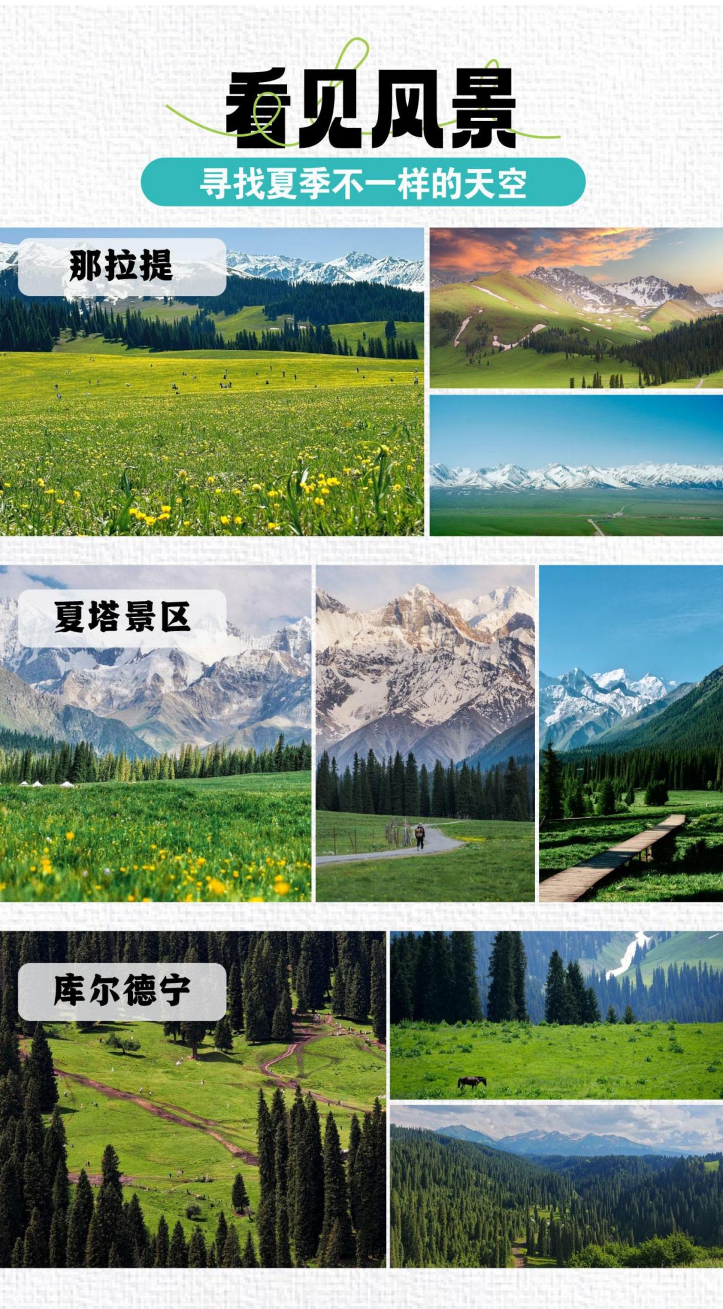 2026 National [Duyi Wu'er Xia Ta Edition Small 7 Business Vehicle 8th] Summer Edition