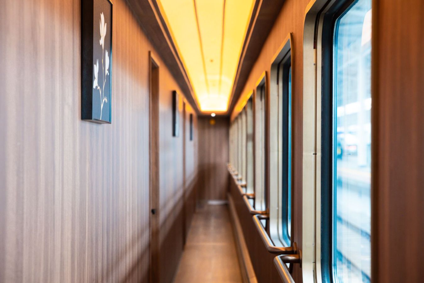 The Chengdu Panda Special Train's year-round schedule and ticket prices have been released! A complete guide to purchasing and booking tickets for the Chengdu Panda Special Train