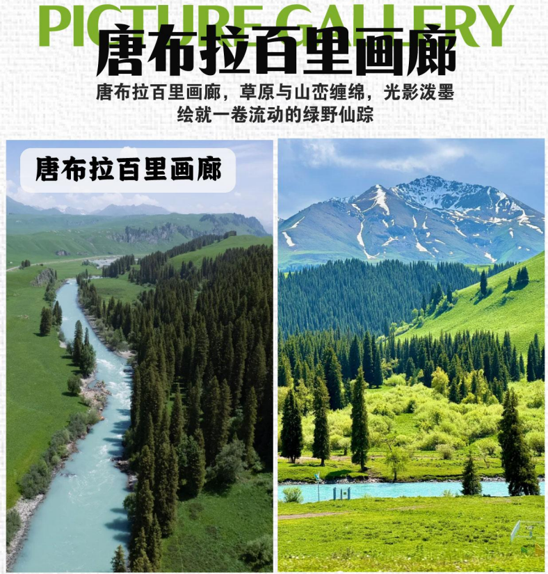 2026 Kashi & Yining 9-Day Luxury Cabin Tour (9 Days Adjusted to 7 Days)