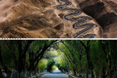 A 6-day, 5-night in-depth tour from Yining, including Sayram Lake, Narat Grassland, Duku Highway, Xiatu Park, and Qiaxi Landscape.
